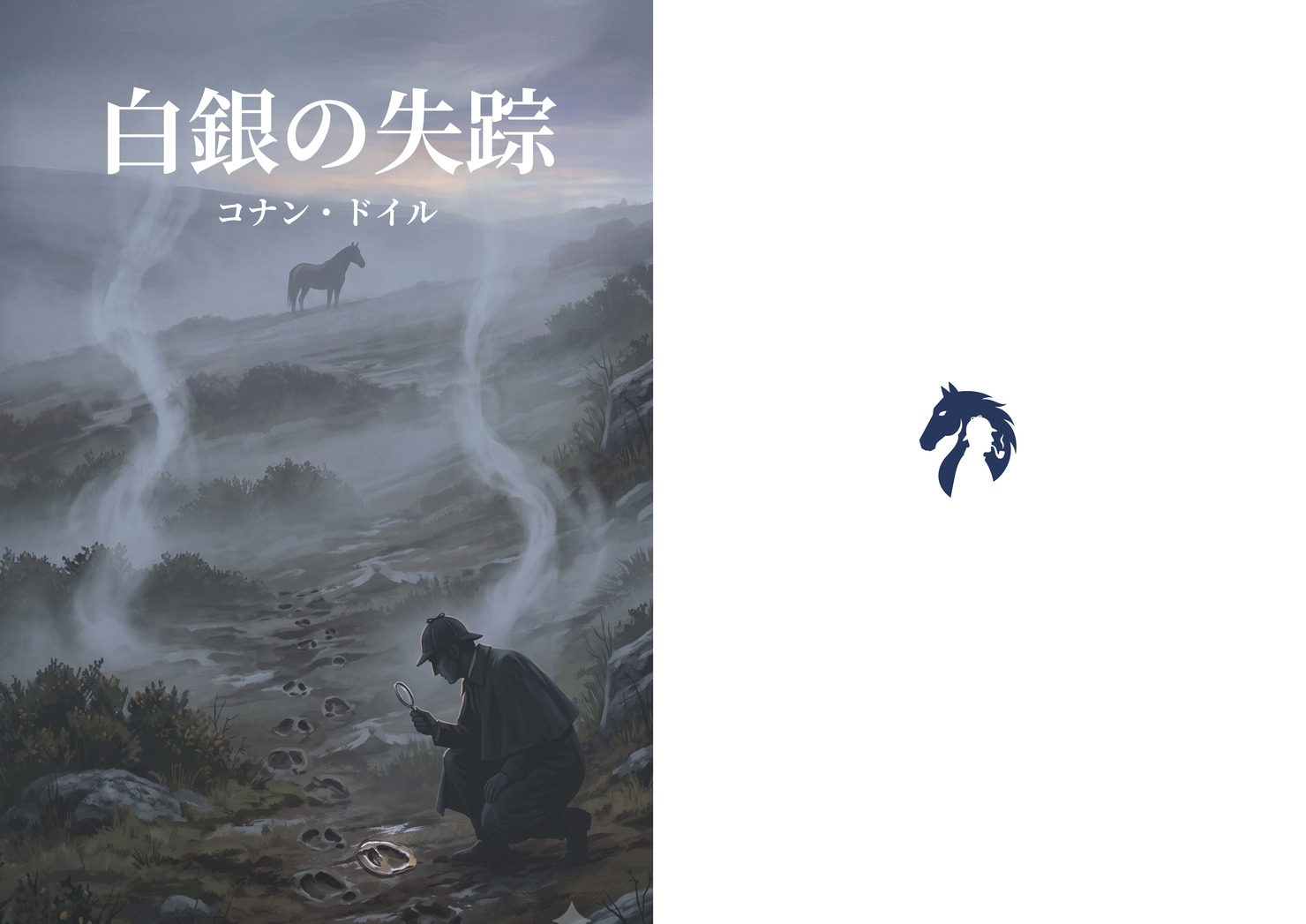 白銀の失踪 — カバー